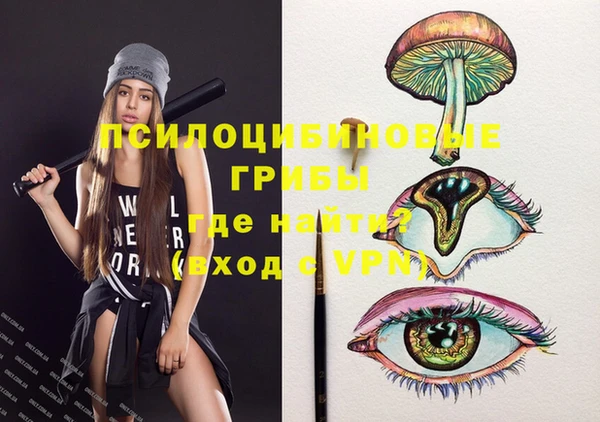 МДПВ Гусь-Хрустальный