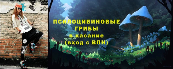 ECSTASY Дмитров