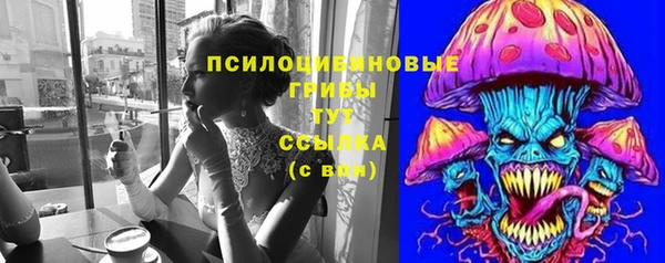 винт Гусиноозёрск