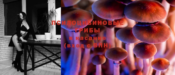 кокс Гусев