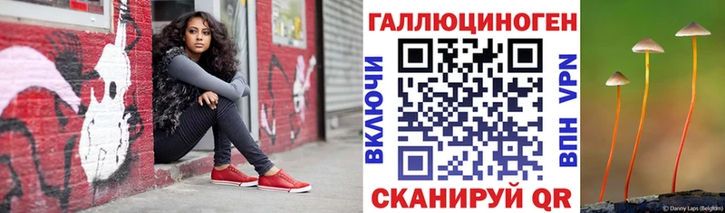 Купить где  Шатура  Псилоцибиновые грибы прущие грибы 